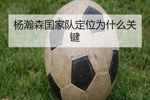 杨瀚森国家队定位为什么关键